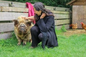 De Peerdegaerdt in vogelvlucht: workshop varkens knuffelen